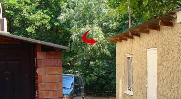 Фото номера Семейное бунгало Гостевой дом Holiday Home On Sanatornaya Street 3 г. Гурзуф 6